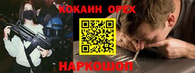дмт Гай
