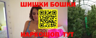 дмт Гай