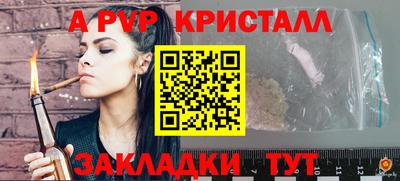 дмт Гай