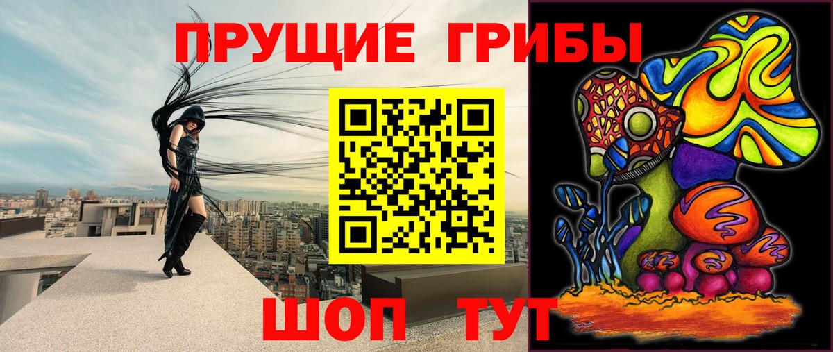 Галлюциногенные грибы мицелий Губаха