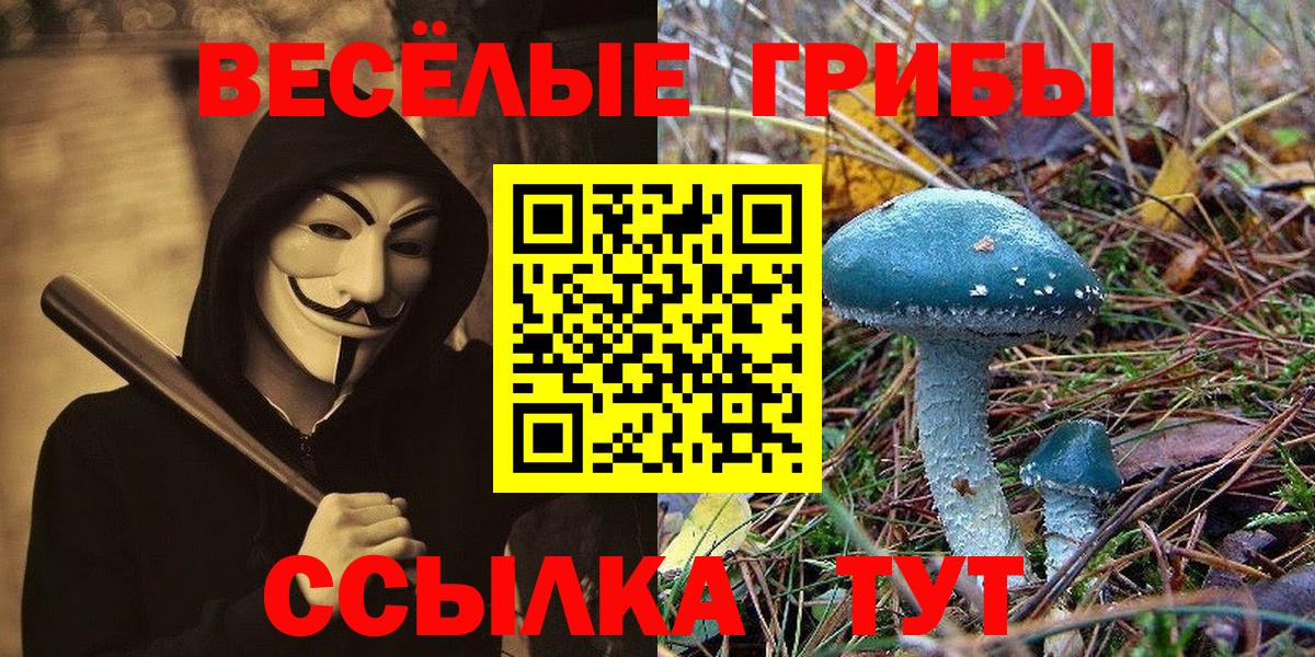 Псилоцибиновые грибы ЛСД  Вход с VPN  Псилоцибиновые грибы мухоморы  Губаха 